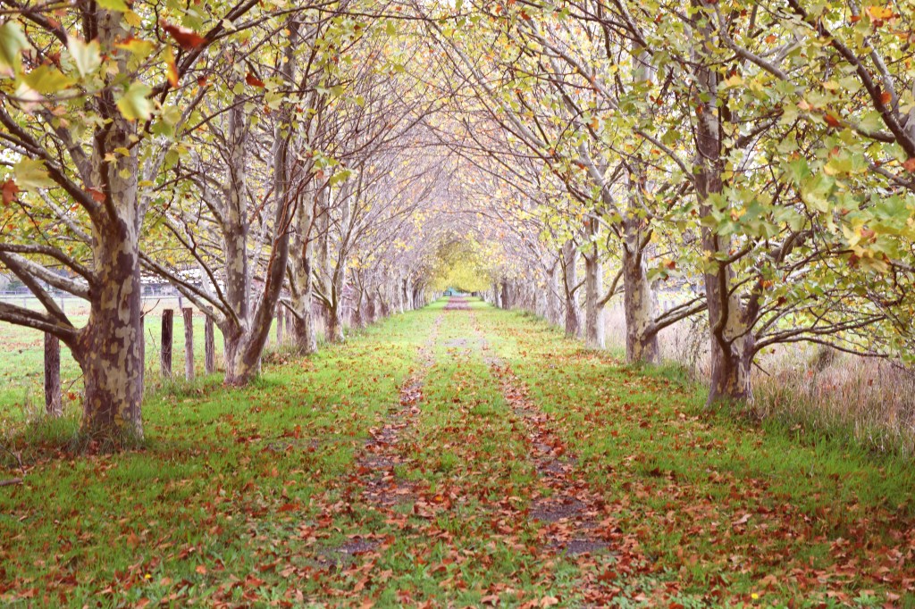 002-May15- Path of Colour