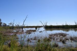 84NaaDdFUX2spfh6wtsYG0Thl0fmfnuBY5SiesxIX5U,j2dUbnvhey8BGBpIGRJEmzoSPlVC5wDwDa4ODIrqymI