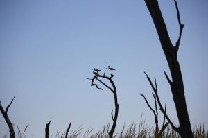 AEq-G7UFpjWhPvrRCN8N9A9fcQlMyUoWyBrZwkBkuzI,WHZ7kNeFDRWY9n0hUdK98vA7G-3PHpByh29TDG2XoaQ