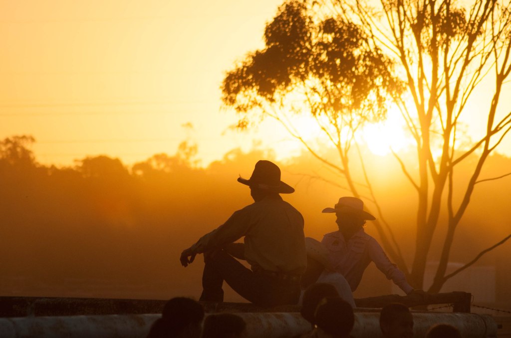 KAteOram-05-2015-campdraft sunset-
