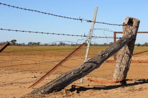 MEm8n7PLzu7amBR791oIobjBBky9hct85O0V2zdQBKM,QRIg7bkoAfgJ-zNKESPYB0ufMGyvBxnCk3t-sCfTFp0