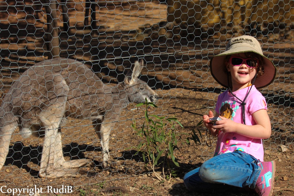 Rudi-May2015-Zoo Animals