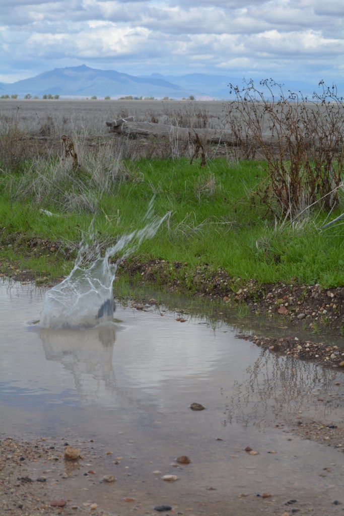 debbiethompson-June15-The Splash