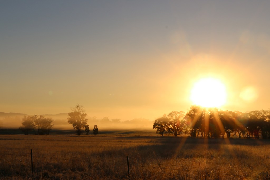 Open_June_jodiDolbel_SunriseOverManilla