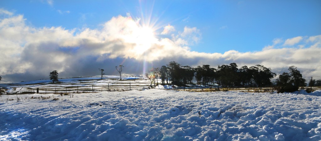 MargCarr-JUL14-Magical sun kisses.jpg