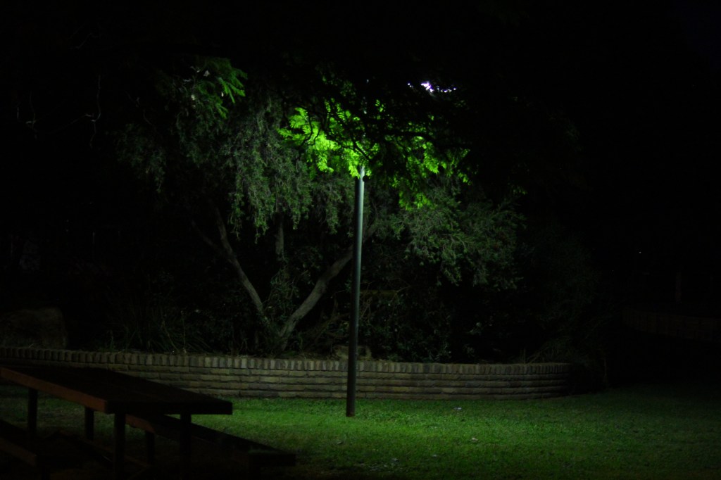 NickyB-Jul15-Green Night