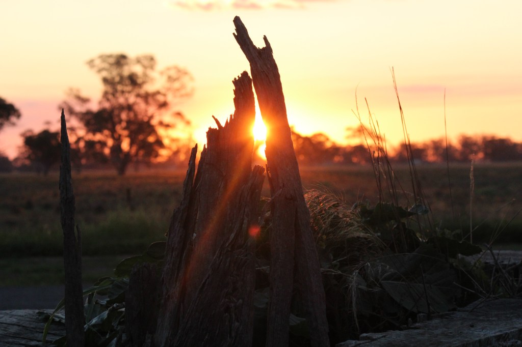 05. RudiB-Aug15-Sunset Embrace