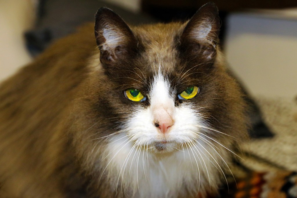 MargCarr-JUL31-Get outa my face