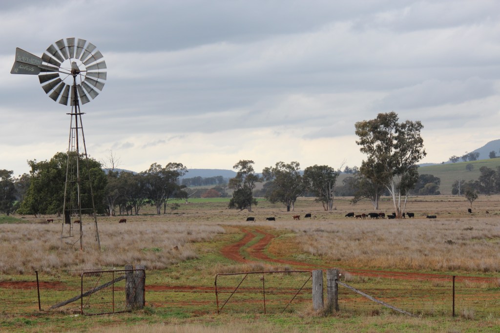 RudiB-Aug15-Milbulla Mill