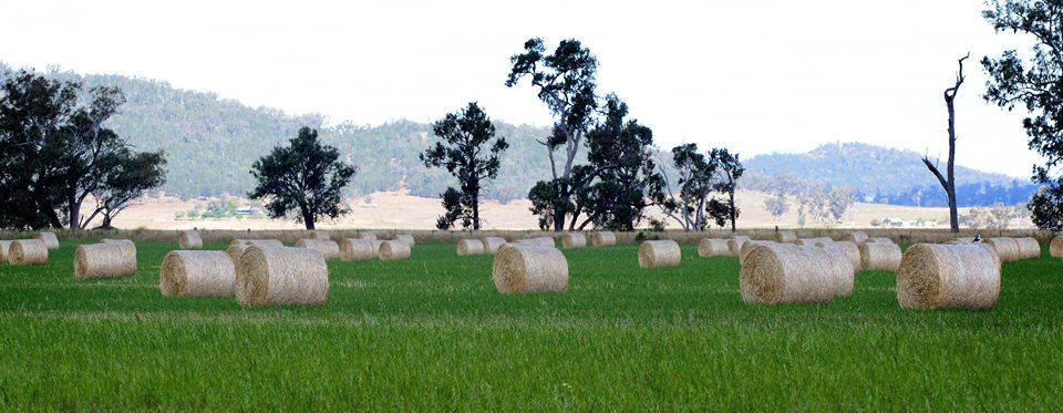 12063895_10207768290234824_2931378101923411989_n