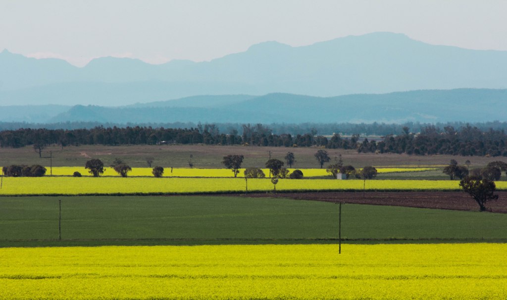 Not much in Emerald Hill (1 of 1)