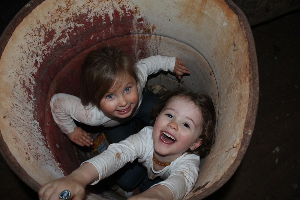 RudiB-Sept15-Farmyard Fun