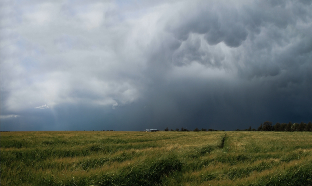 StuartDolbel_160915_StormLowRes