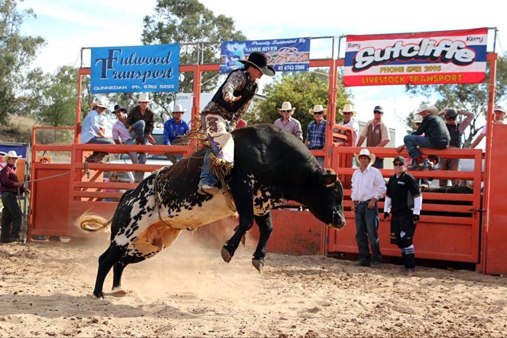 IMG_1036 october OPEN BCC DeeWoodward