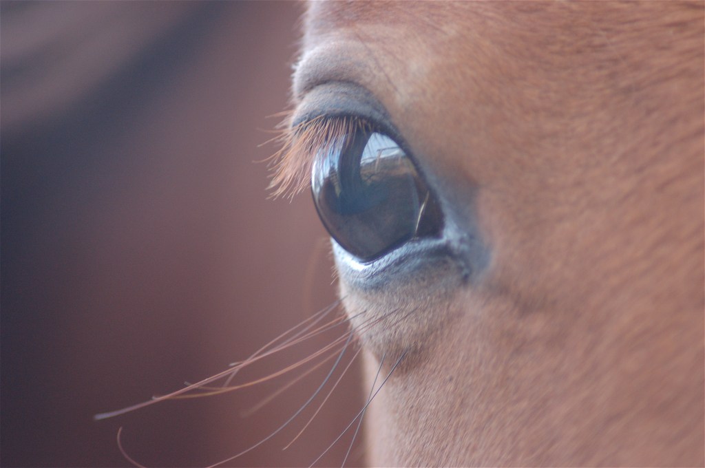 kateoram-open-october-1