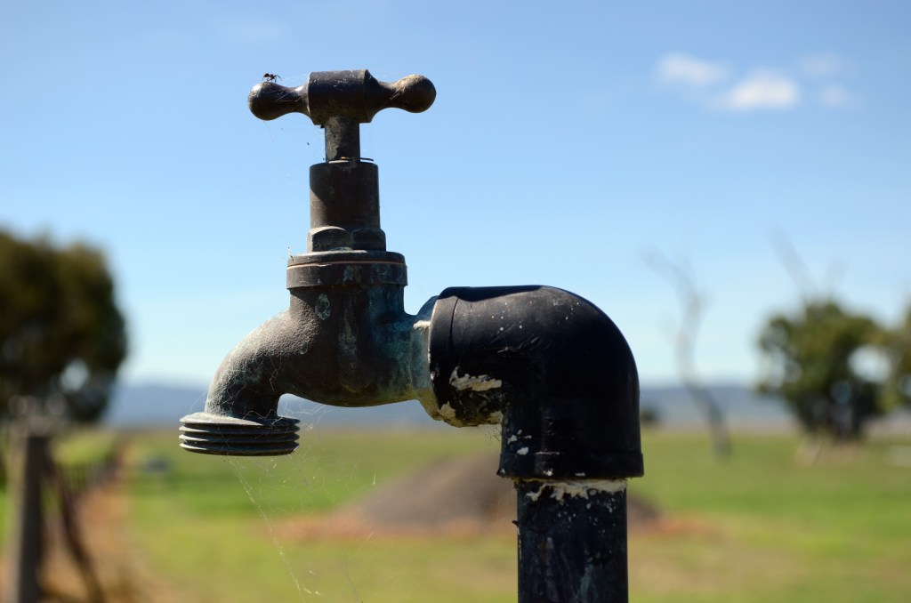 KellyCains-Oct15-Eensy Weensy Spider