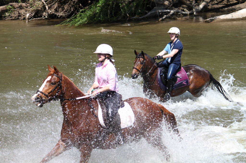 JDolbelActionNovember2015