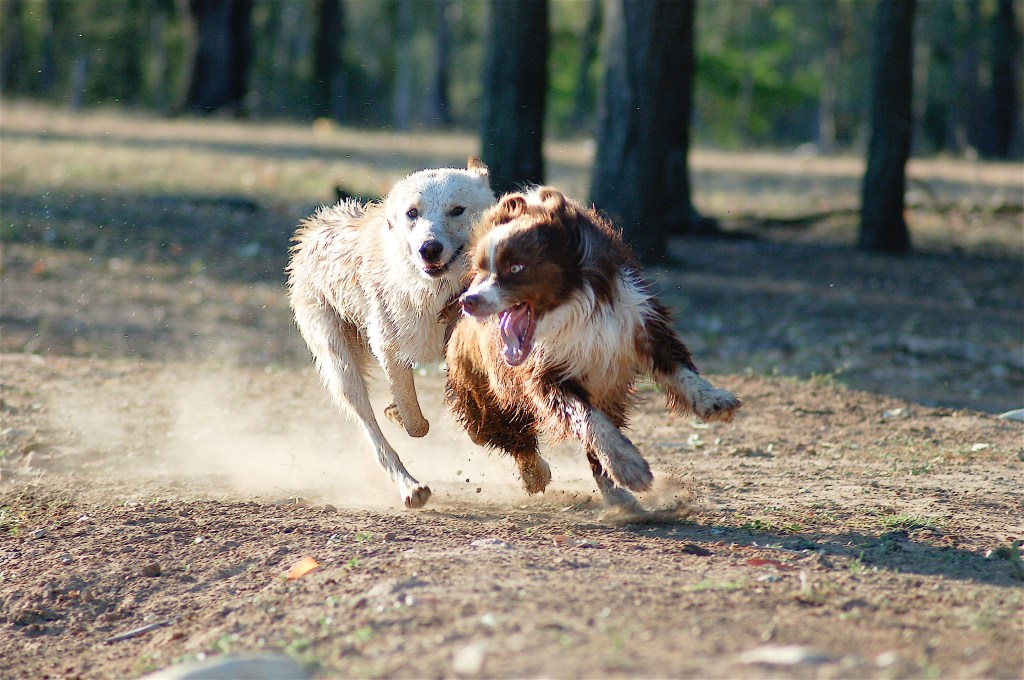 kateoram-subjectnovember-thechaseison-1