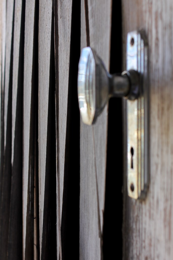 NickyB-Nov15-Forlorn