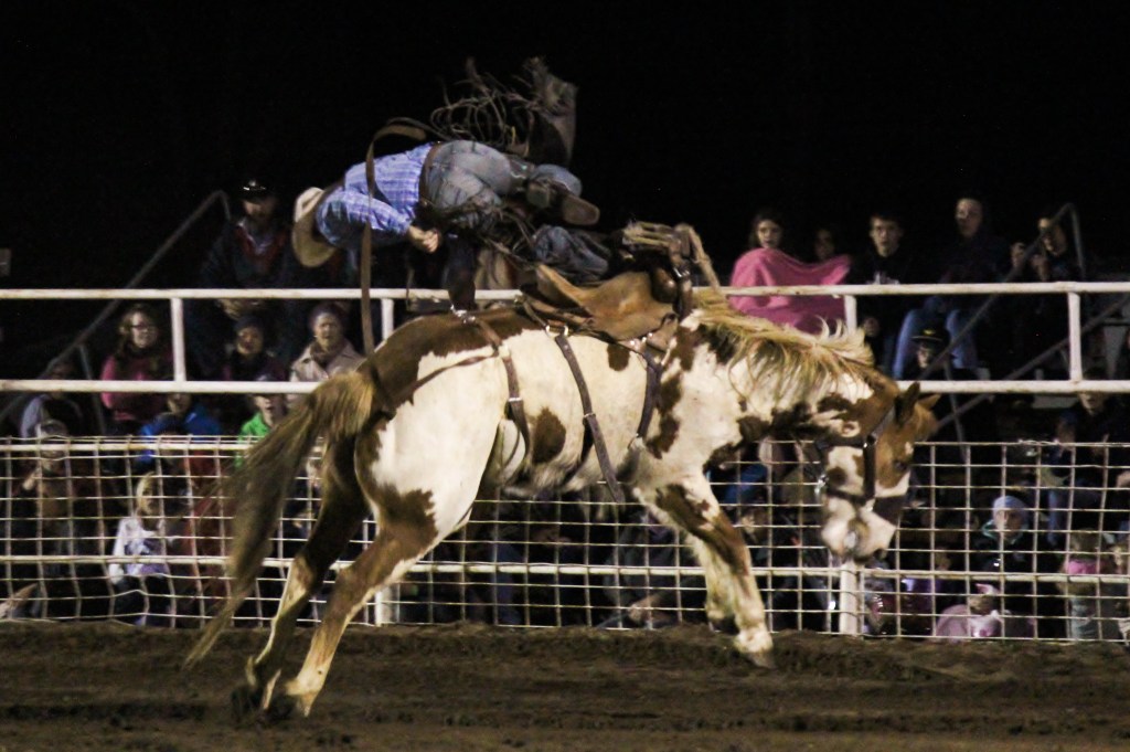 NickyB-Nov15-Gravity