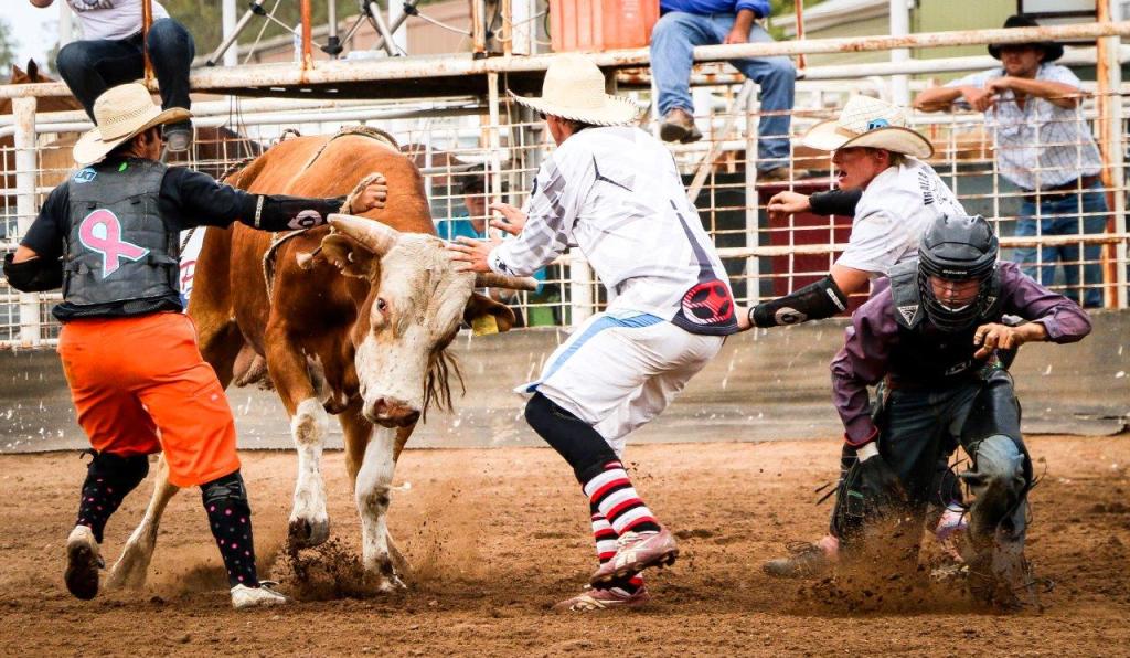 NOV-ACTION - SAVED BY THE RODEO CLOWNS - DW