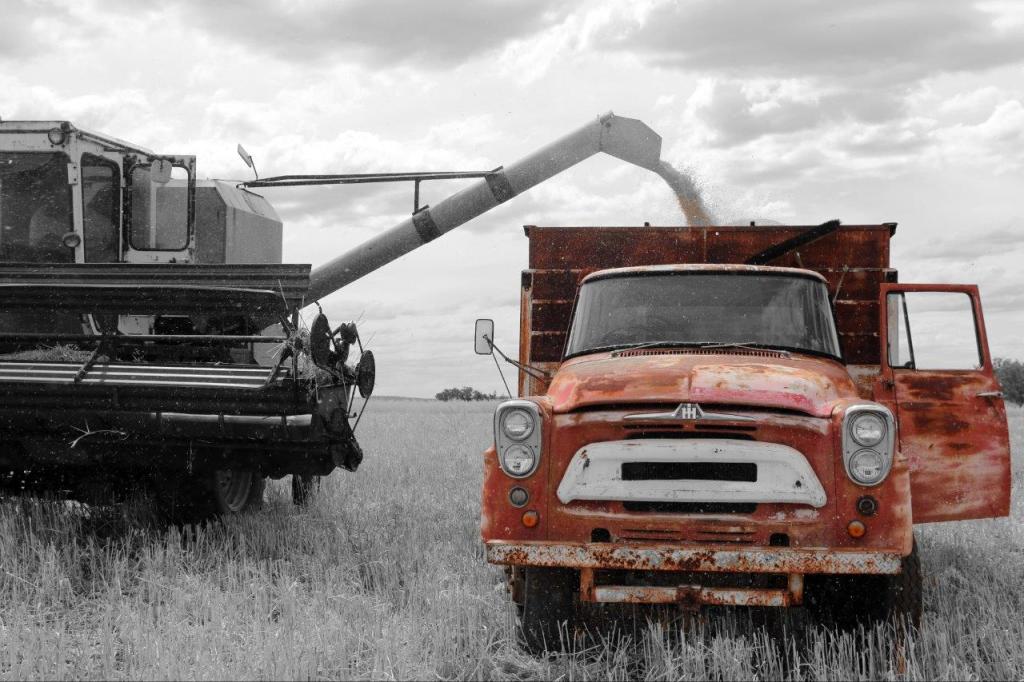 NOV-OPEN-OLD INTER ONE LAST HARVEST - DW