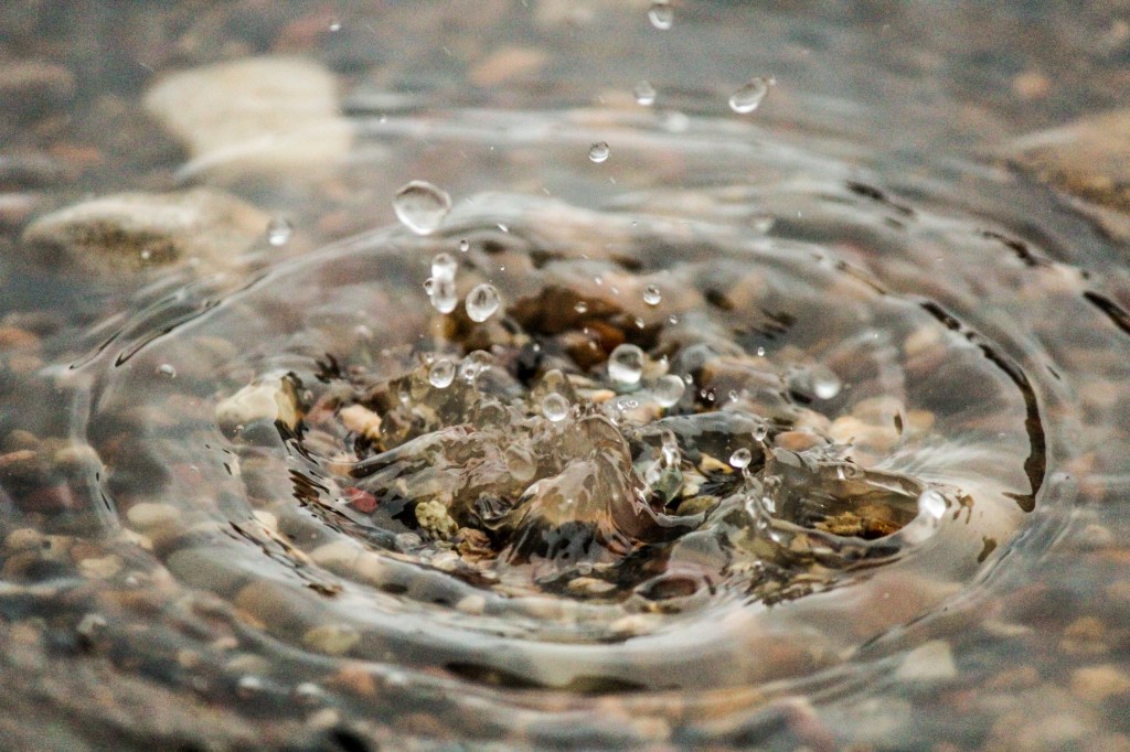 RudiB-Nov15-Raindrop