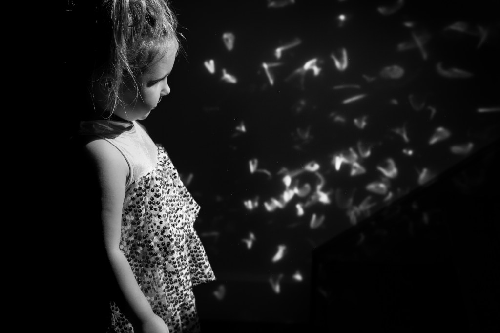 Fireflys Anthony Cholson (1 of 1)