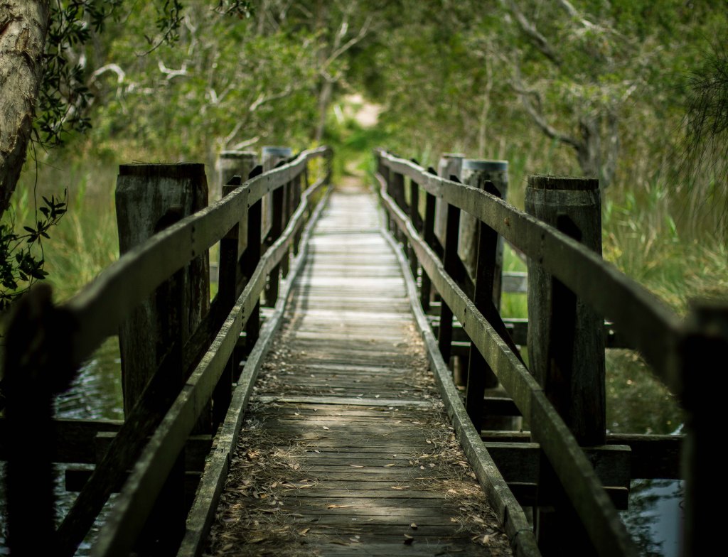 Lagoon Tess Cholson (1 of 1)