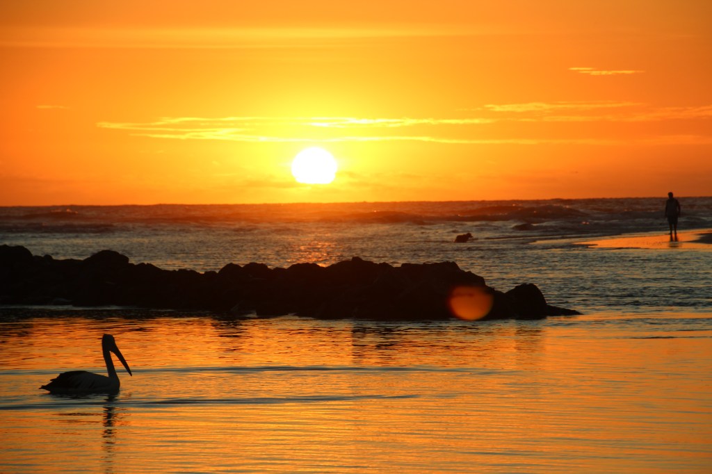 Pelican Sunrise-RudiB-Jan16-5