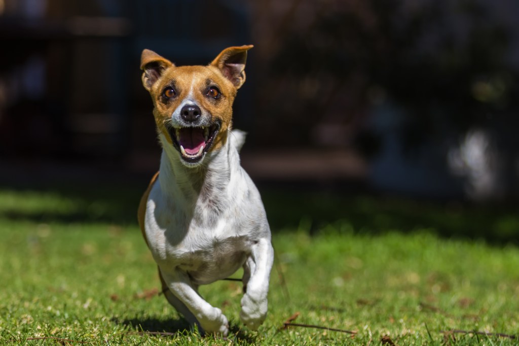 007-FEB16-Here I Come