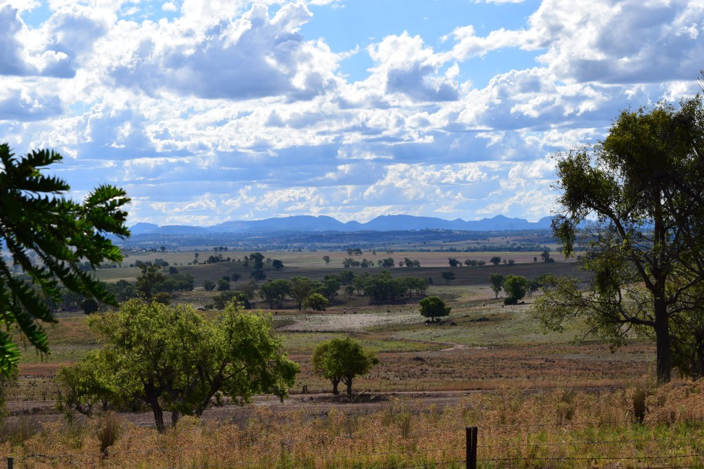 cherie-feb16-darouble