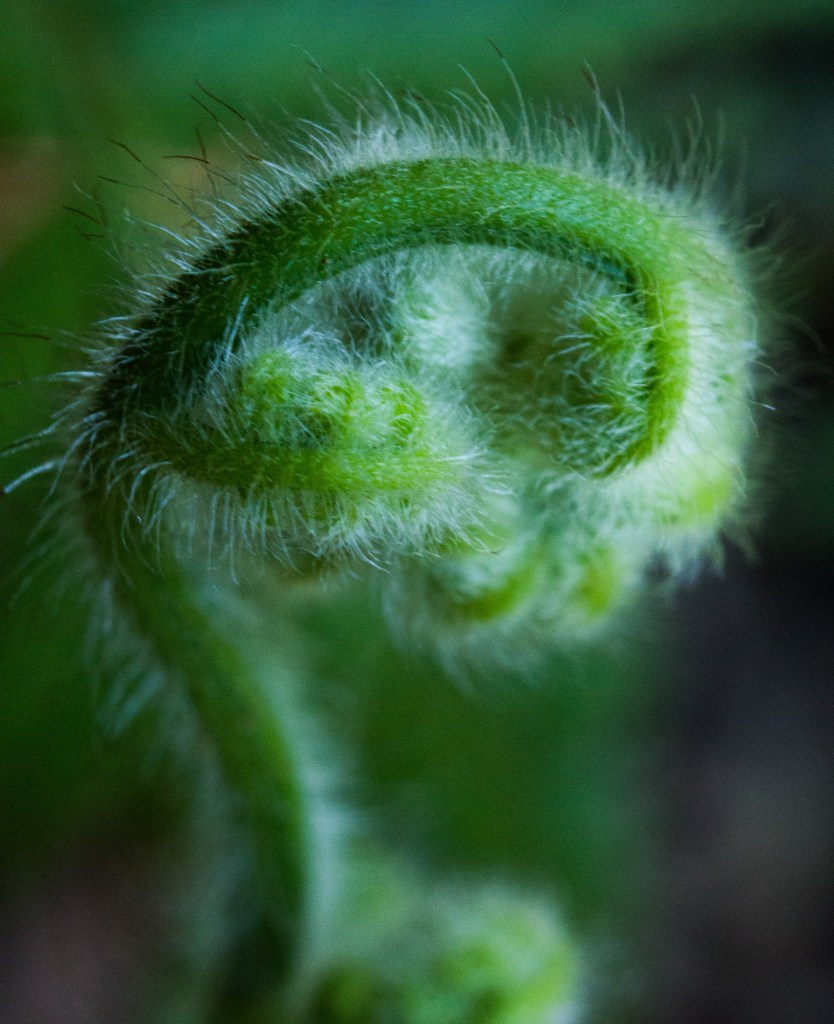 NickyB-Feb16-Fragile