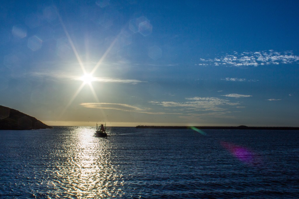 NickyB-Feb16-returning to harbour