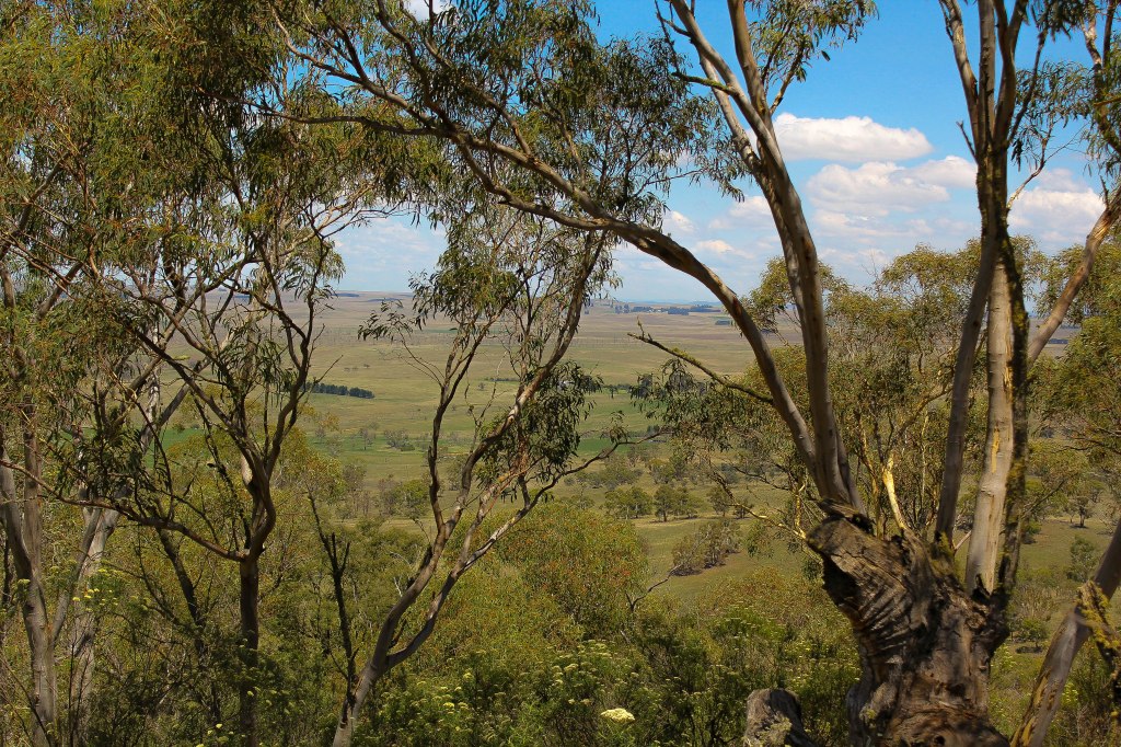 Prisca-Feb16-landscape photo