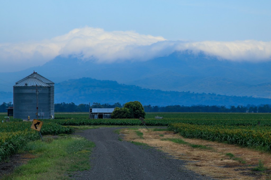 StuartDolbel_250116_Silos