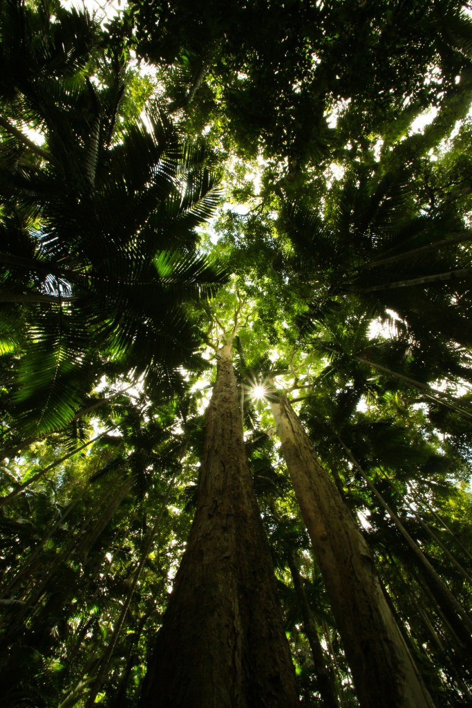 Tess - Feb16 - Look Up - Open