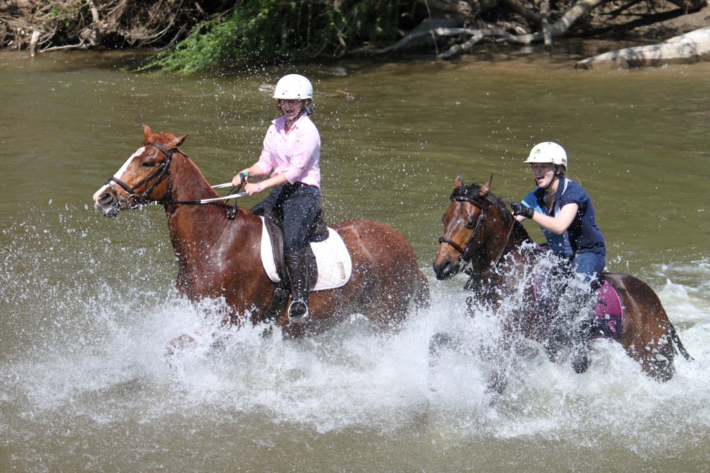 JodiDolbel_Splash_SubjectComp_March