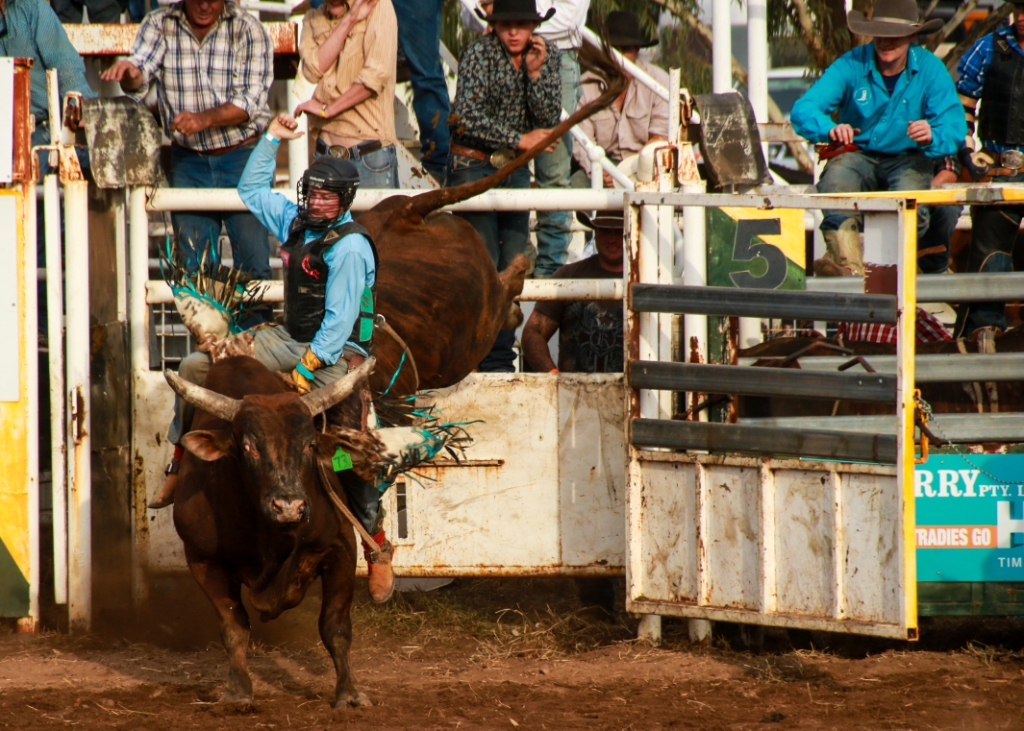 11_stuartdolbel_rodeo