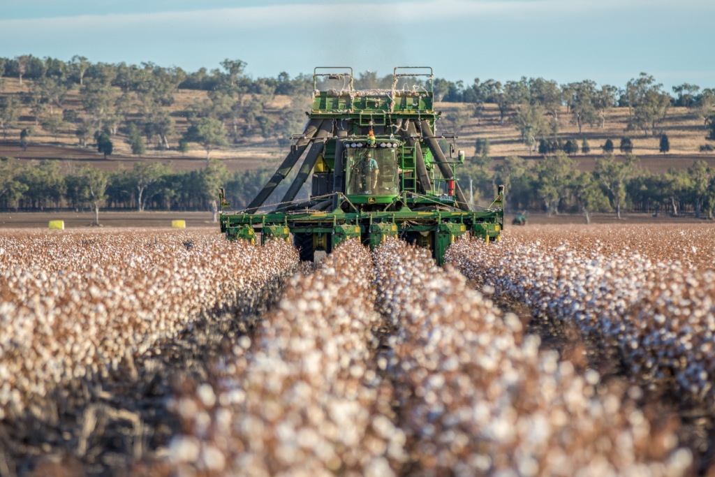 cover_007_july16_cottonpicking-n-clarke