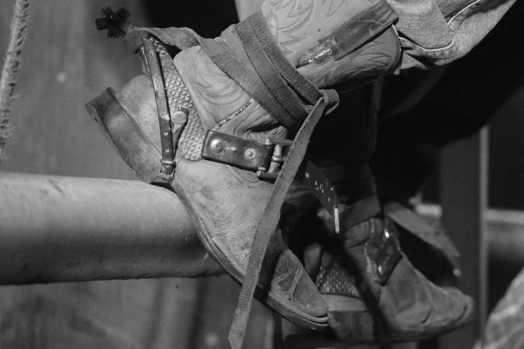 hayleyscott-aug-16-rodeo-boot