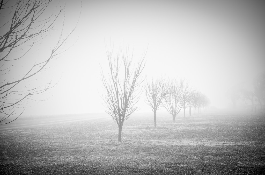 katrinadavis_sept16_mist-ified