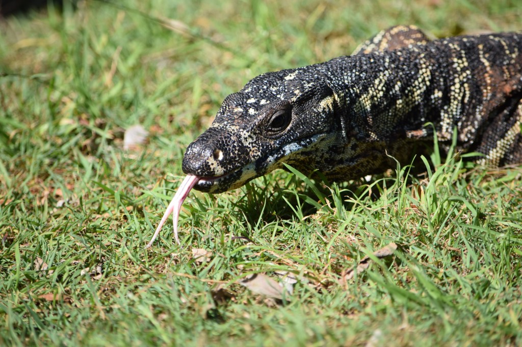 hayley-oct-16-lunchtime-guest