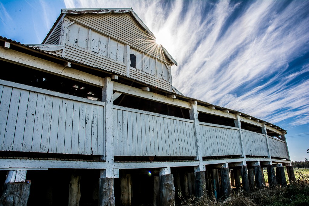 marycadell-oct16-windy-2