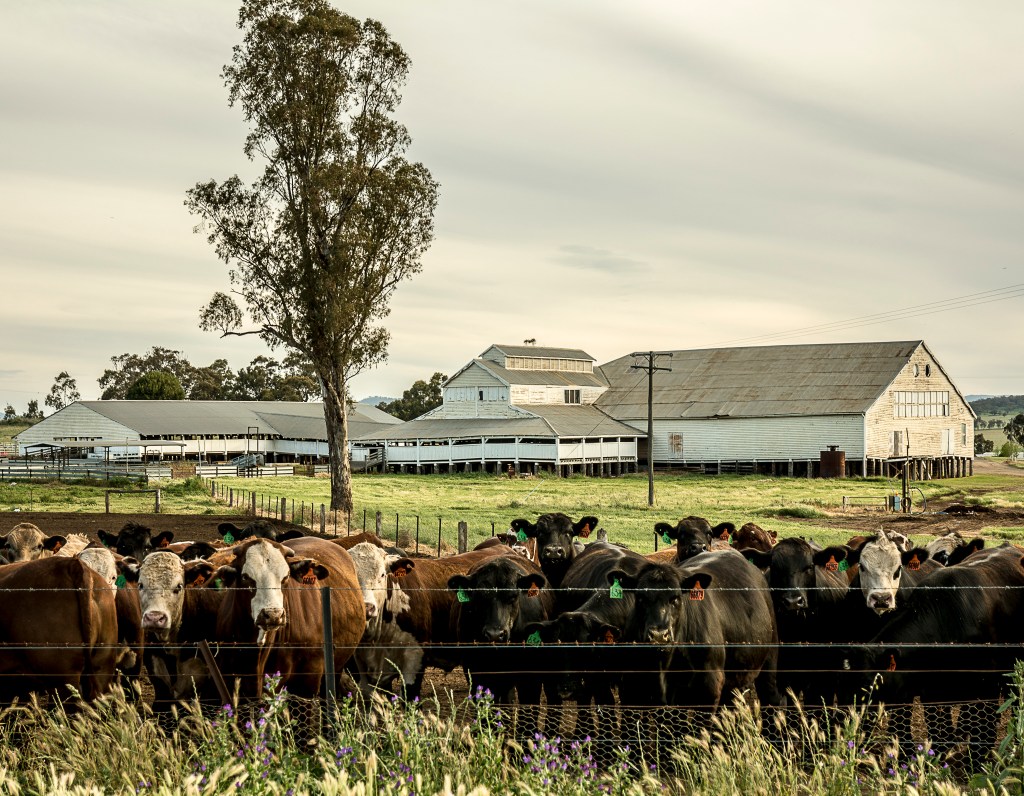 marycadell-oct16-windy-4