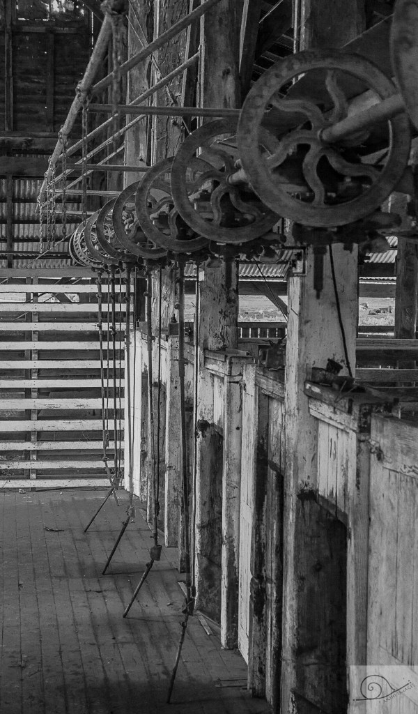 marycadell-oct16-windy-stands