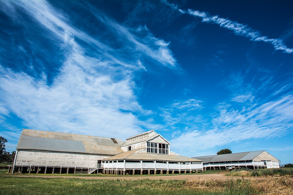 marycadell-oct16-windy