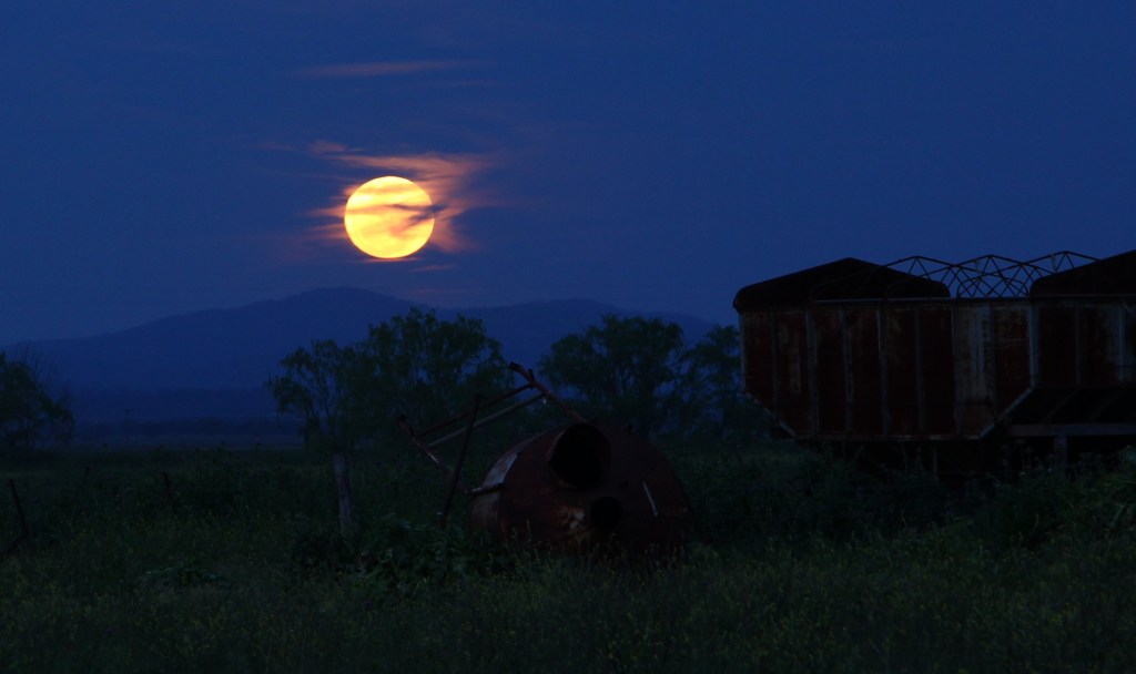 pattimmins_oct16_bewitching-hour