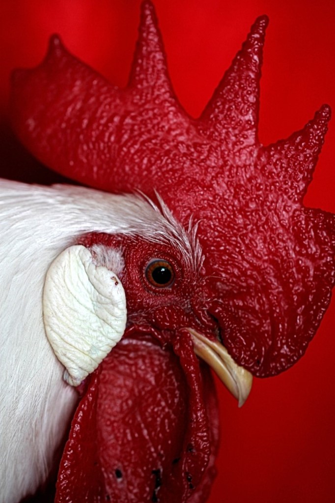 thumbnail_img_3620-1