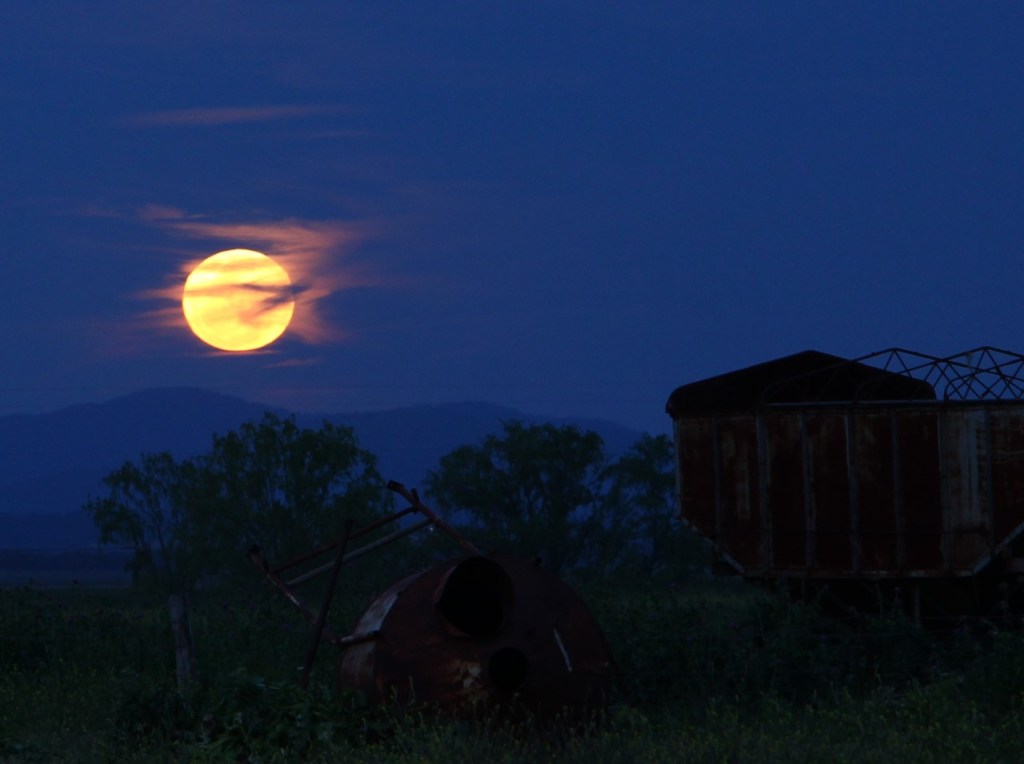 thumbnail_img_0337-33